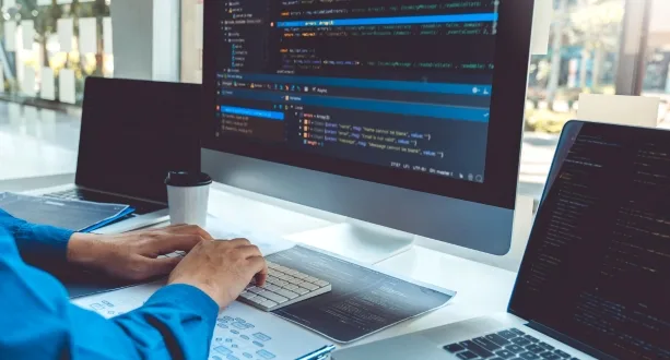 Website & Web Application (1)