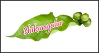 chikmangaluru logo 200x107.jpg