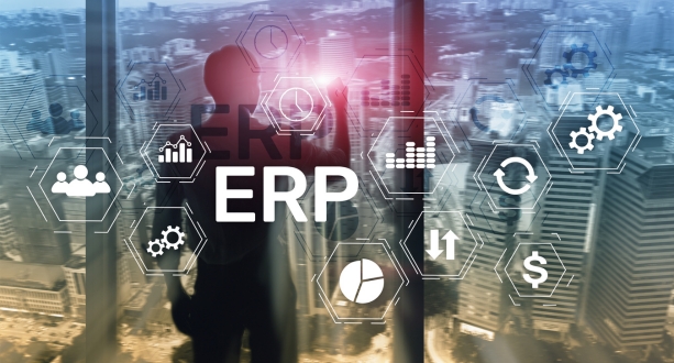 erp (1)