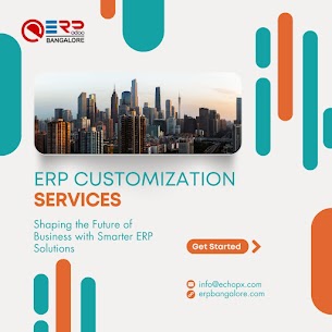 ERP customization services