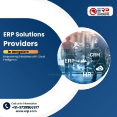 ERP Solutions Providers